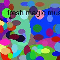 fresh magic mushroom online shop